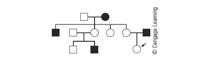 Pedigree chart for colour blindness