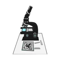 Gel electrophoresis virtual lab answer key