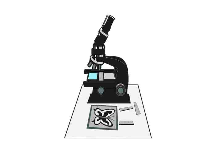 Gel electrophoresis virtual lab answer key