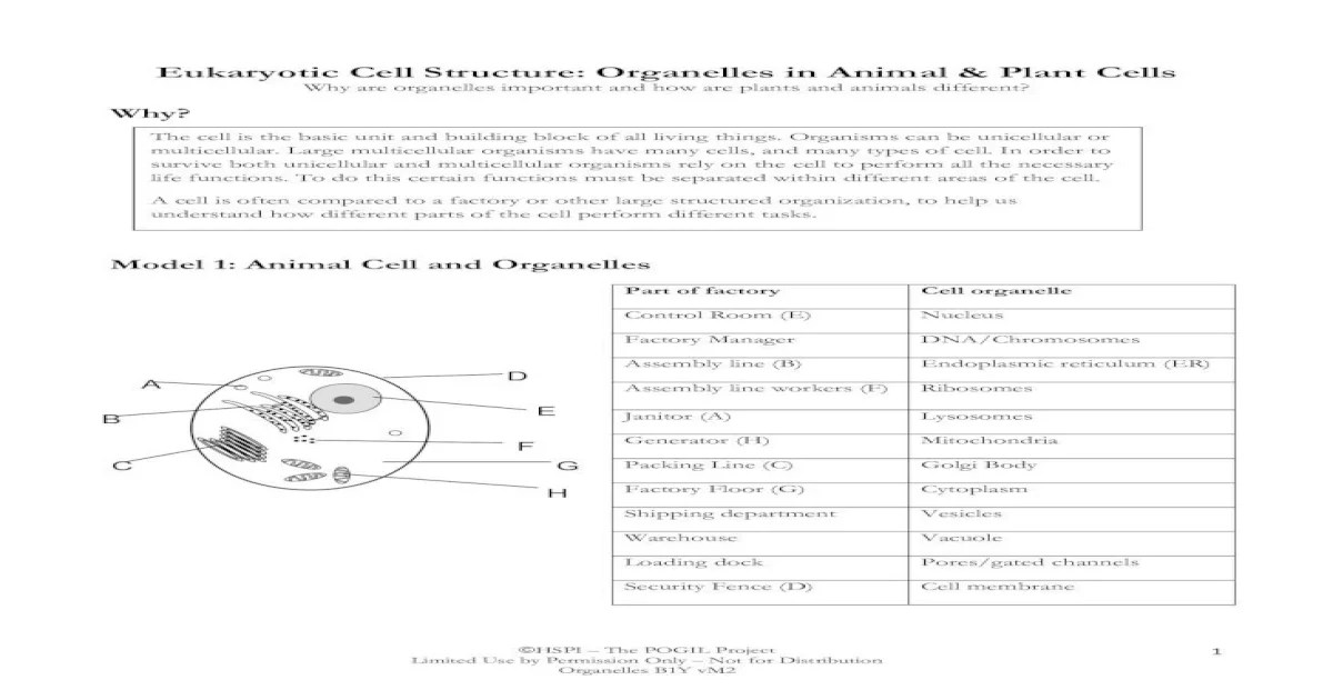 Pogil organelles in eukaryotic cells