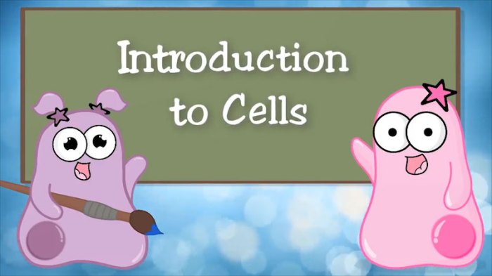 Introduction to cells the grand cell tour worksheet answer key