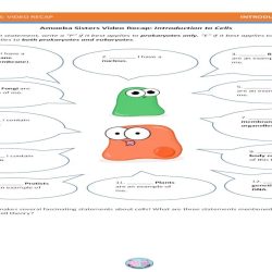 Introduction to cells the grand cell tour worksheet answer key