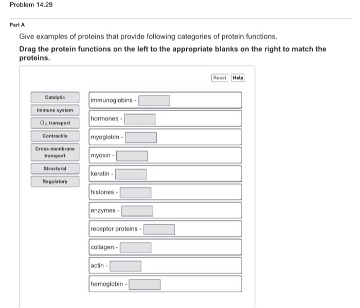 Protein structure types four