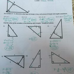 Similarity and right triangle trigonometry 6.5 answer key