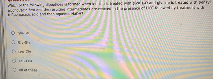 Which of the following dipeptides will form from this mrna