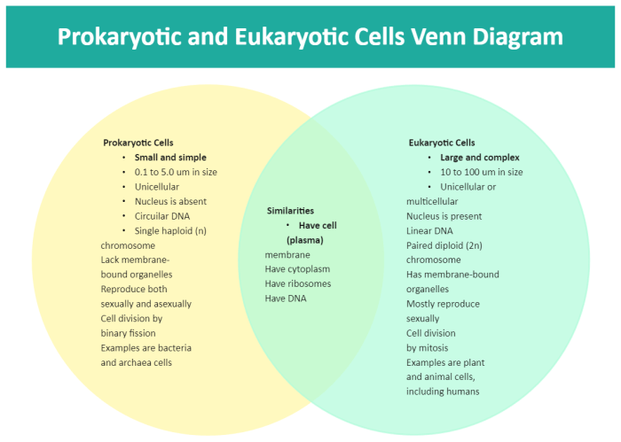 Venn diagram on prokaryotic and eukaryotic cells