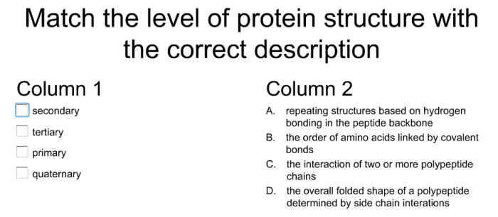 Match correct description level each protein structure proteins question questions overall chain shape solved amino